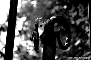 Blarney Castle Ireland