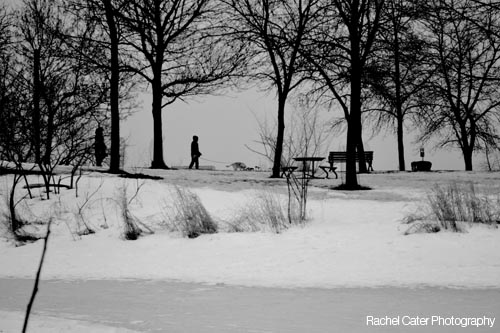 Toronto Humber Bay Park&nbsp;East