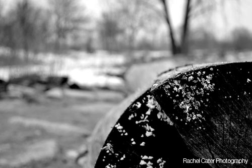 Black & White Photography: Changing the mood and&nbsp;impact