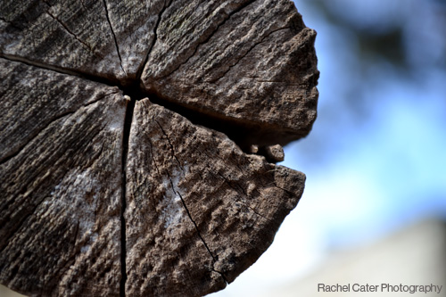 Getting to know my DSLR&nbsp;camera