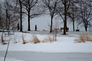 couple walking their dog