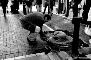 Dublin Artist Sand Art Dog