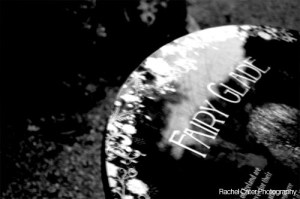 Ireland Faery Glade Blarney Castle