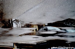 Puddle Reflections LeavesTree and Rain Drops in Toronto