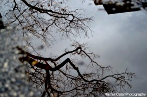 Puddle Reflections Couple in Toronto