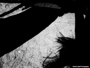 Black and white photograph Shadows in Toronto