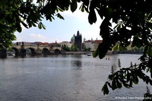 View of Charles Bridge Rachel Cater Photography