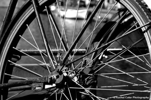 View through a bike bike in of focus Rachel Cater Photography