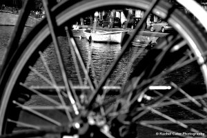 View through a bike bike out of focus Rachel Cater Photography