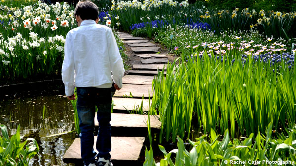 Boy walking on Pond in Holland Rachel Cater Photography