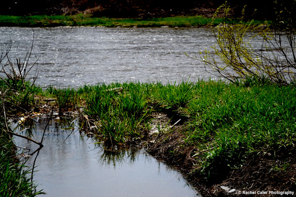 Humber River in Toronto Rachel Cater Photography