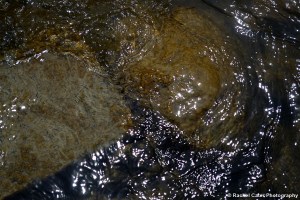Light reflected off water and stone Rachel Cater Photography
