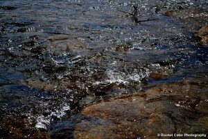 little waves in a creek Rachel Cater Photography