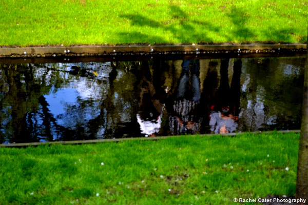 Reflections in Water