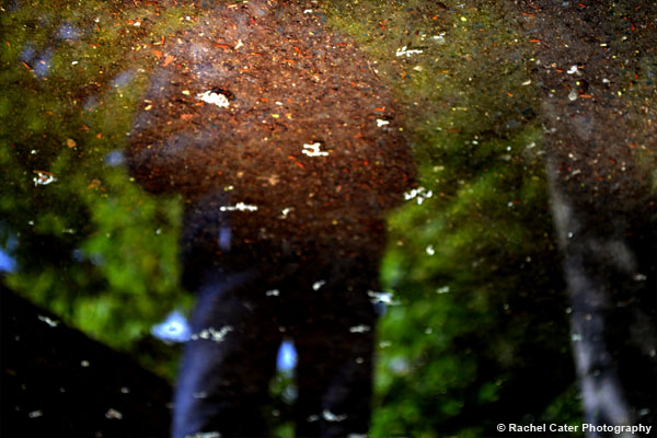 Reflections in a Prague&nbsp;Puddle