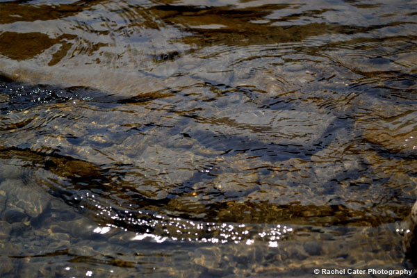 Light, Rocks & Stones in a&nbsp;Creek