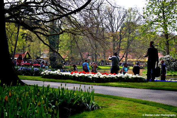 Tourists at the tulip festival Rachel Cater Photography