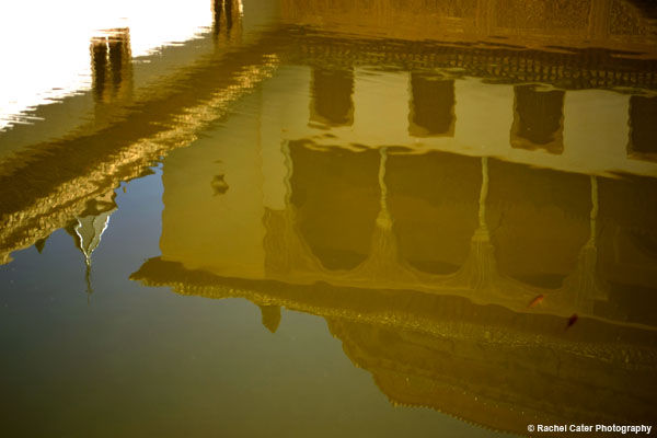 Reflections in a Pond