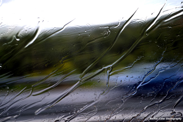 Rain Drops Rachel Cater Photography