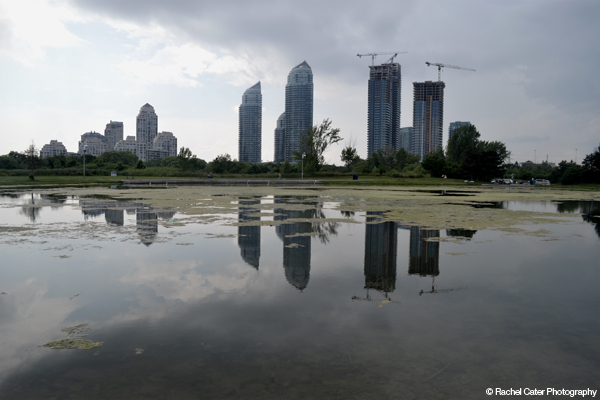 Buildings in a&nbsp;Pond