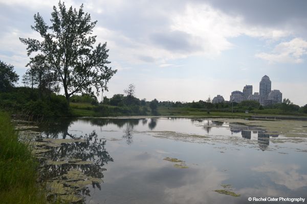 Serenity in the&nbsp;City