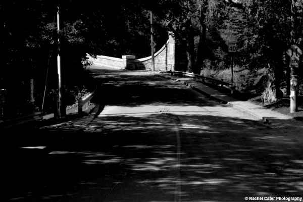 Shadowed Road