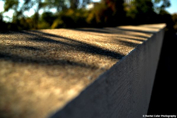 Shadows Rachel Cater Photography