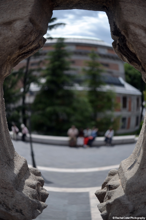 View through brick wall Rachel Cater Photography