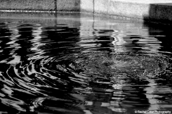 Water Ripple Rachel Cater Photography