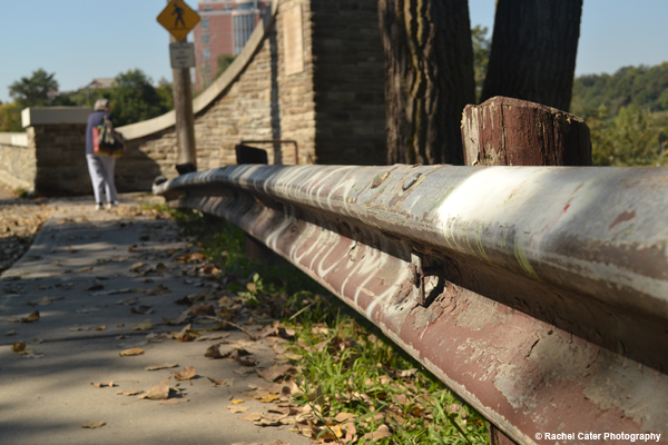 Autumn Path Rachel Cater Photography