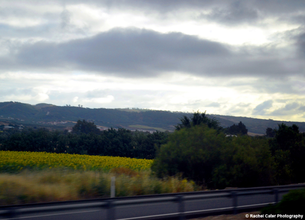 Fairy Tale in Spain Rachel Cater Photography