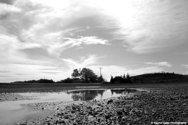Puddles in the country Rachel Cater Photography