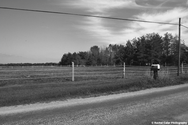 Countryside Dreaming