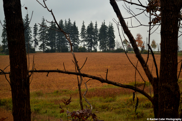 Barrier Rachel Cater Photography