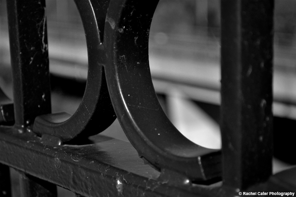 Fence View Rachel Cater Photography