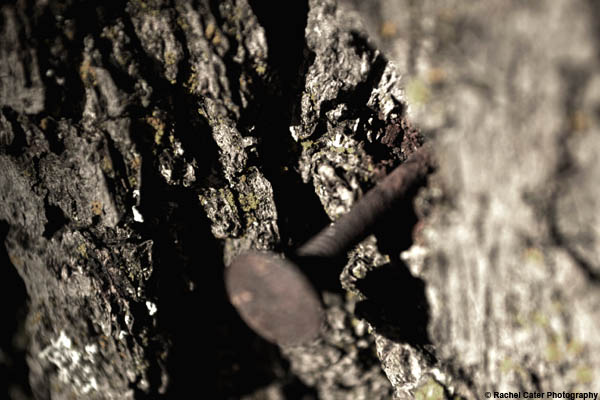 Nailed Rachel Cater Photography