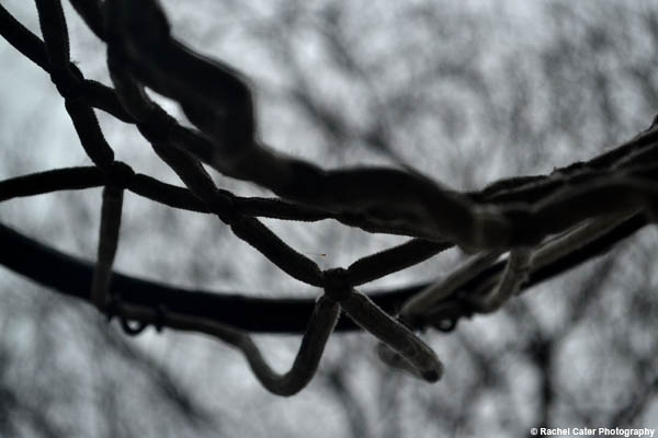 Net Rachel Cater Photography copy