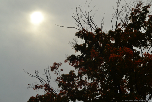 spooky silhouette  Rachel Cater Photography
