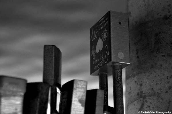 love locks rachel cater photography