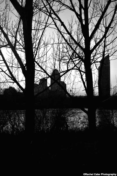 silhouettes urban rachel cater photography