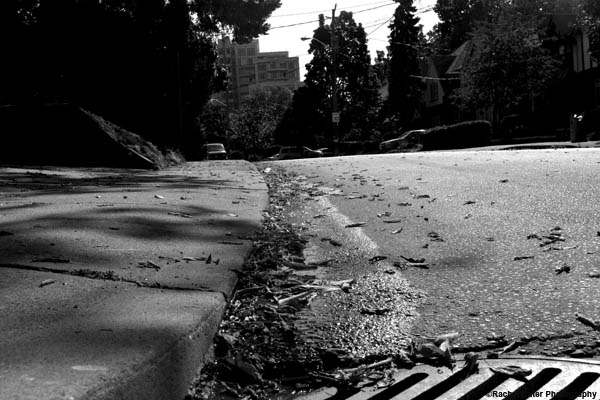 shadows on the pavement rachel cater photography