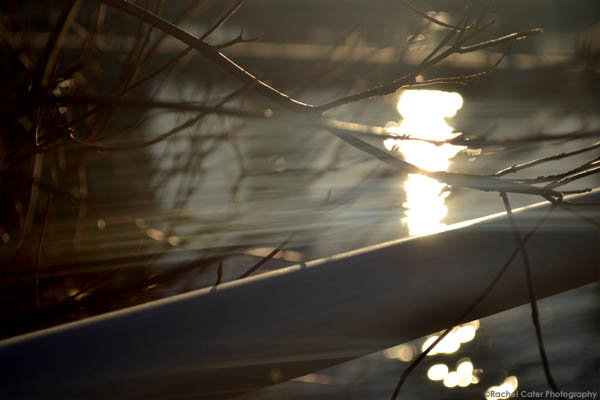 twilight golden light rachel cater photography copy