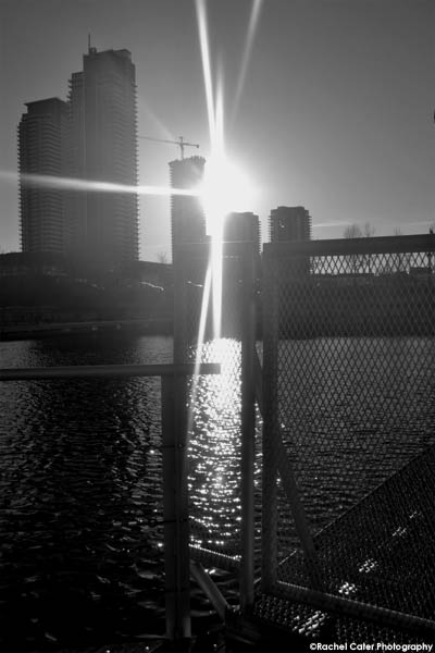 Serenity in the&nbsp;City