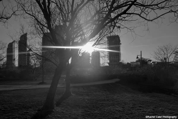 Parks in the&nbsp;City