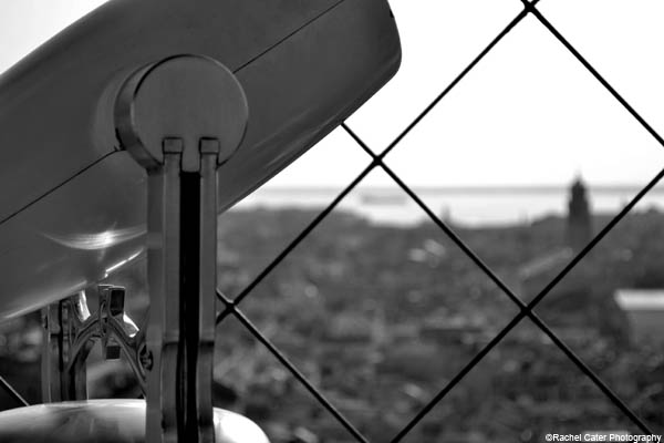 venice view rachel cater photography