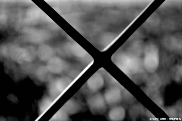 x rachel cater photography