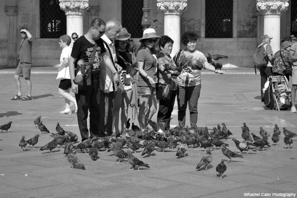 Pigeon People