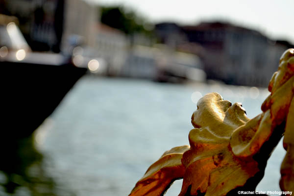 View from Gondola Ride Rachel Cater Photography