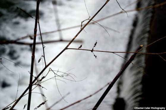 Water's edge Rachel Cater Photography