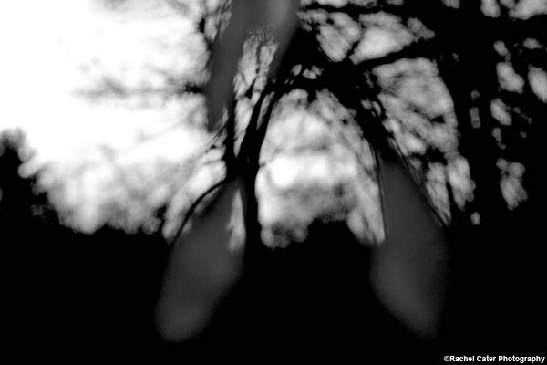 Blurred Nature Rachel Cater Photography